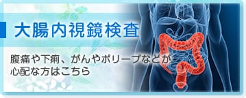 大腸内視鏡検査　腹痛や下痢、がんやポリープなどが心配な方はこちら