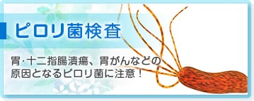 ピロリ菌検査　胃･十二指腸潰瘍、胃がんなどの原因となるピロリ菌に注意！